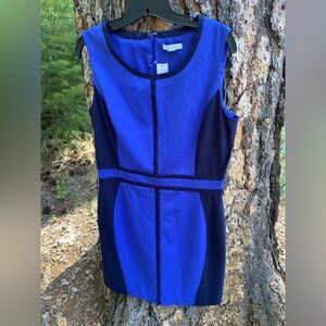 New York & Company Blue and Black Mini Dress